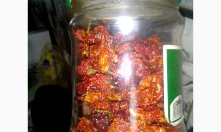 Перець гострий Carolina Reaper найгостріший в світі - фото № 1