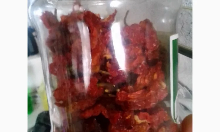 Перець гострий Carolina Reaper найгостріший в світі - фото № 3