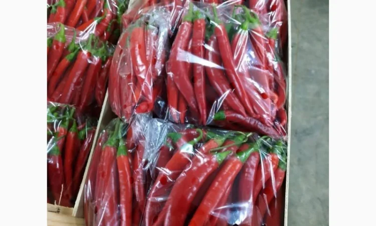 Перец chili red - фото № 1