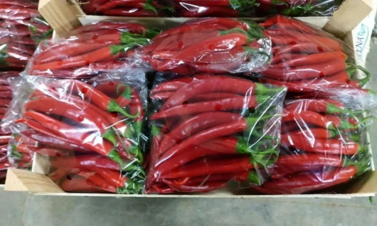 Перец chili red - фото № 2