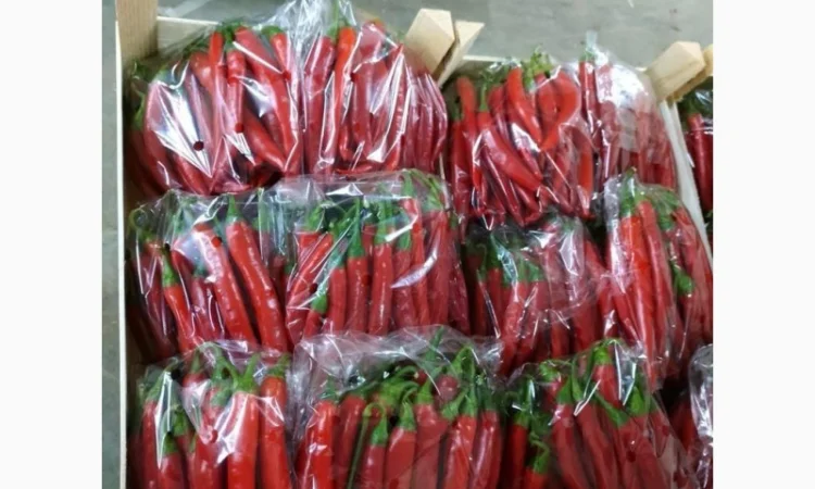 Перец chili red - фото № 3