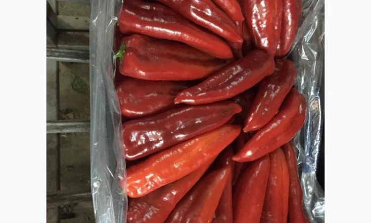 Перец Kapya - фото № 1