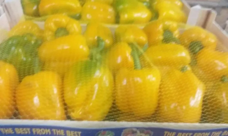 Перец Dolma - фото № 1