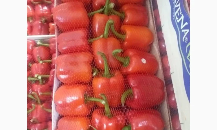 Перец Dolma - фото № 3