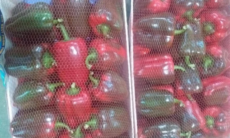 Перец Dolma - фото № 4