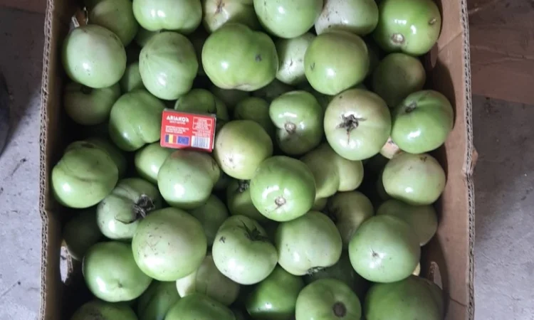 Продам зелені томати (не підмерзлі) - фото № 2