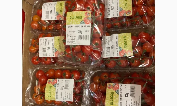 Помідори оптом від виробника - фото № 1