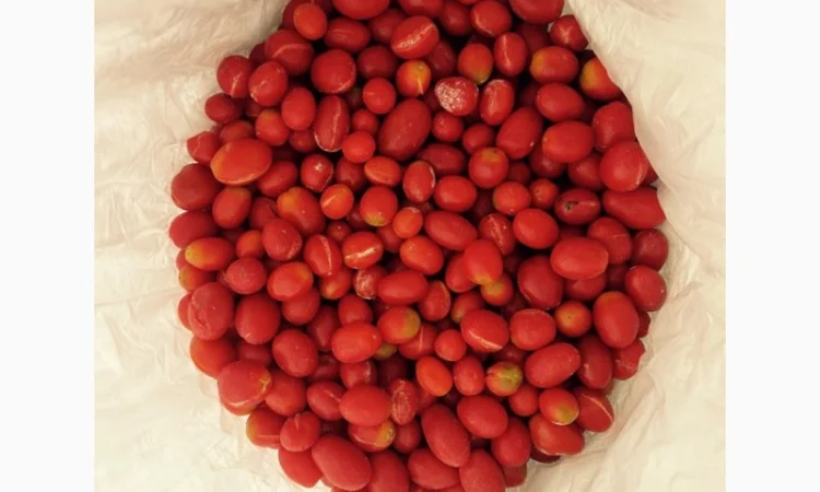 Томат чері заморожений в мішках по 25кг - фото № 1