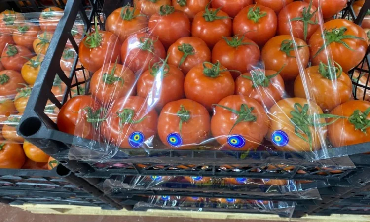 Продаём помидоры сорт высокого качества в тоннах из Турции - фото № 14