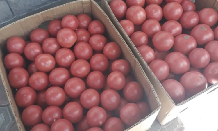 Продам розовый помидор 27 грн - фото № 2