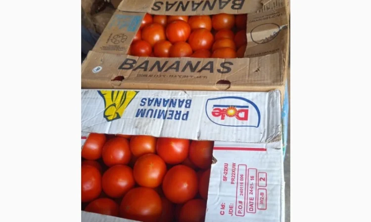 Продам розовый помидор - фото № 2