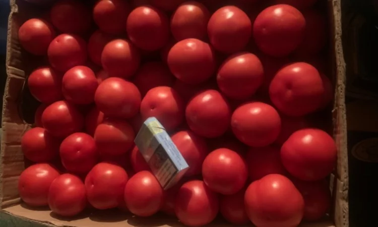 Помідор опт - фото № 2