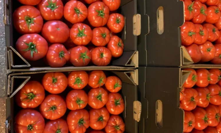 Продам рожевий тепличний помідор - фото № 3