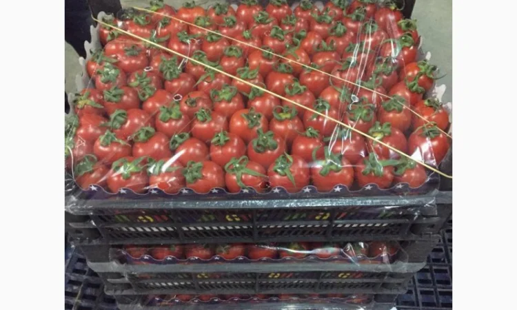 Помидор kokteyl - фото № 2