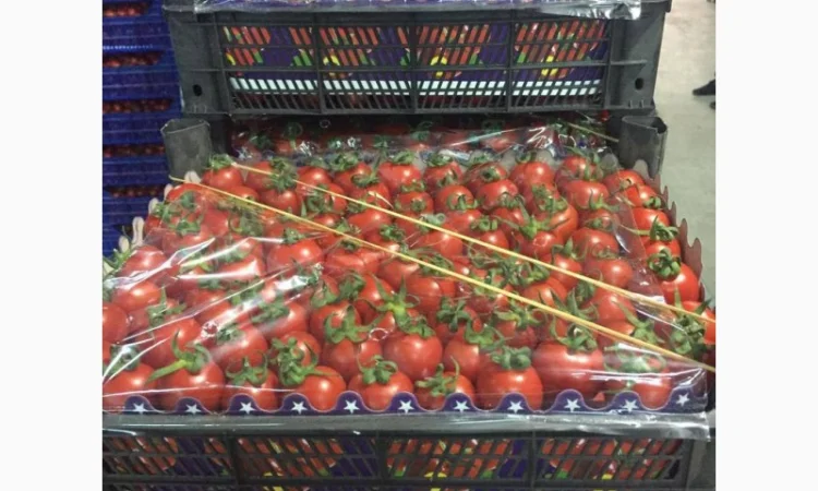 Помидор kokteyl - фото № 3