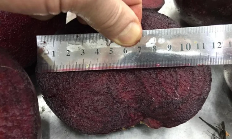 Буряк молодий, оптова продажа - фото № 4