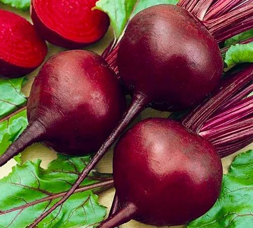 Куплю Буряк столовий оптом - фото № 1