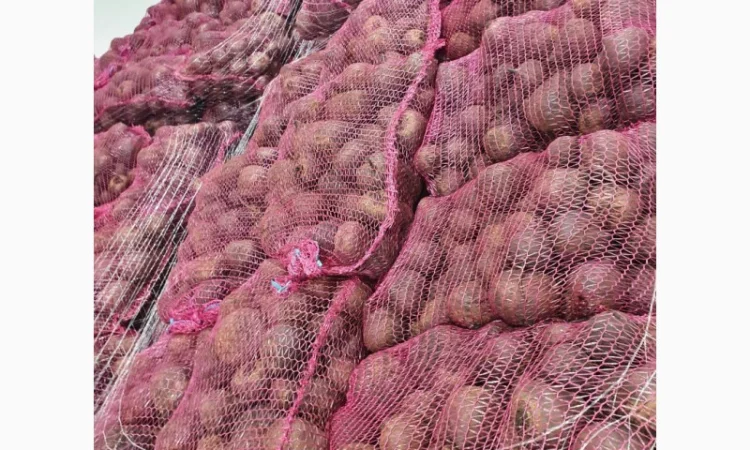 Співпраця з продажу буряка - фото № 1