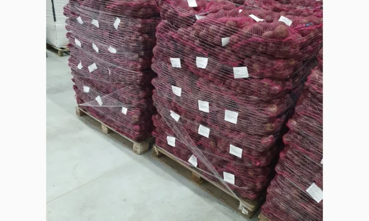 Співпраця з продажу буряка - фото № 2