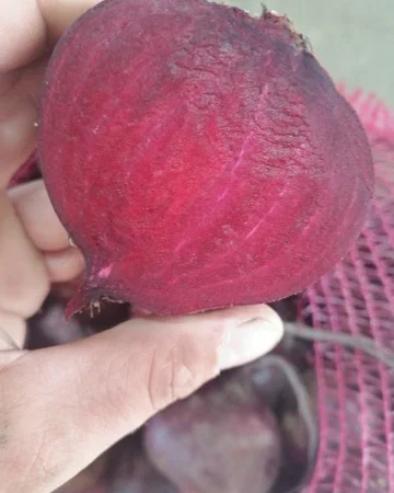 Співпраця з продажу буряка - фото № 3