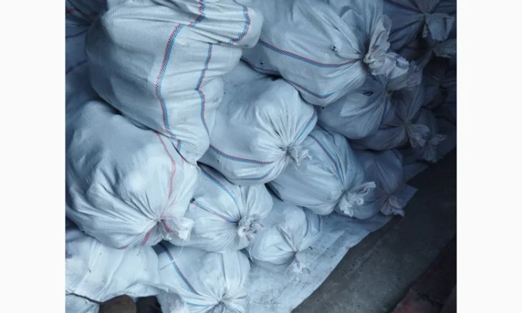 Продаю буряк столовий - фото № 1