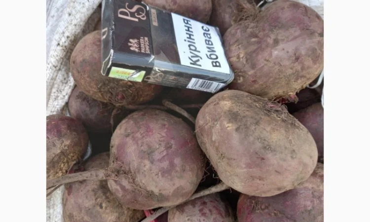 Продаємо буряк - фото № 1