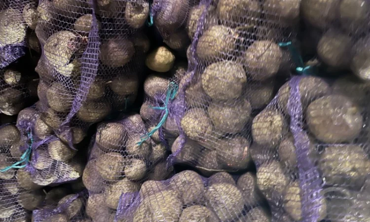 Продам свеклу (буряк 10-14) столовый от 500 кг. Киев - фото № 1