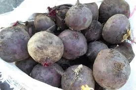 Продаж буряка(свекла) для подальшой переробки - фото № 1