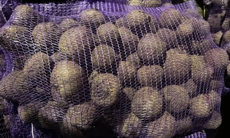 Буряк товарный и 2й сорт!Объем ограничен - фото № 1