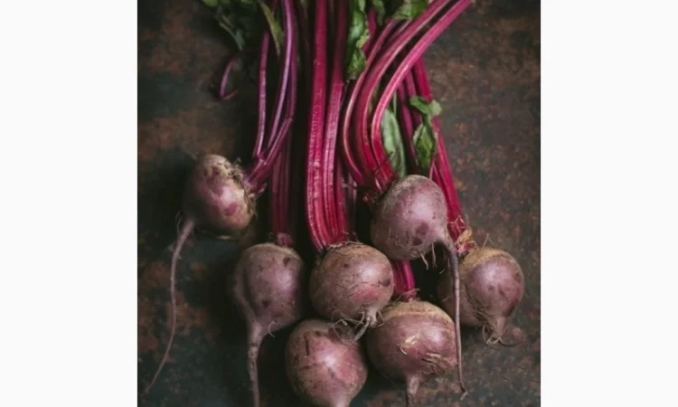 Купимо буряк першого та другого сорту оптом від 20 тон по всій Україні - фото № 1