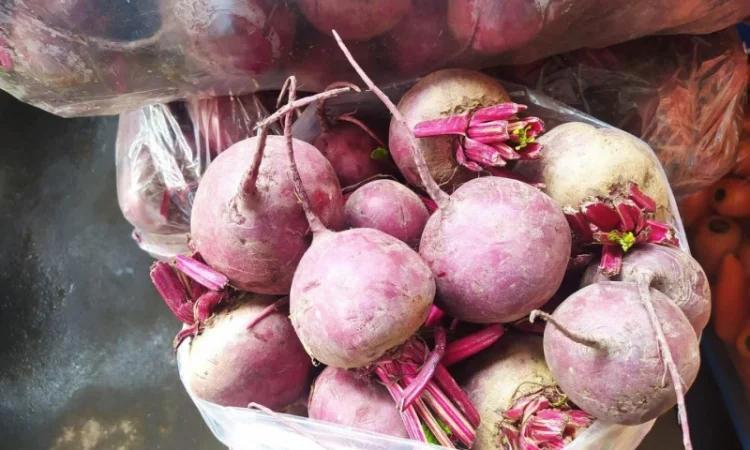 Буряк круглый и цилиндр - фото № 2