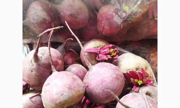 Буряк круглый и цилиндр - фото № 5