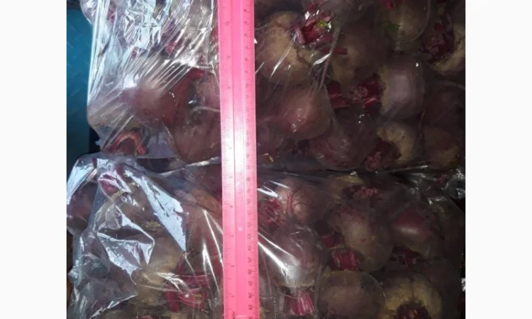 Продам оптом свеклу (буряк), овощи-фрукты г. Киев! Доставка ежедневная - фото № 1