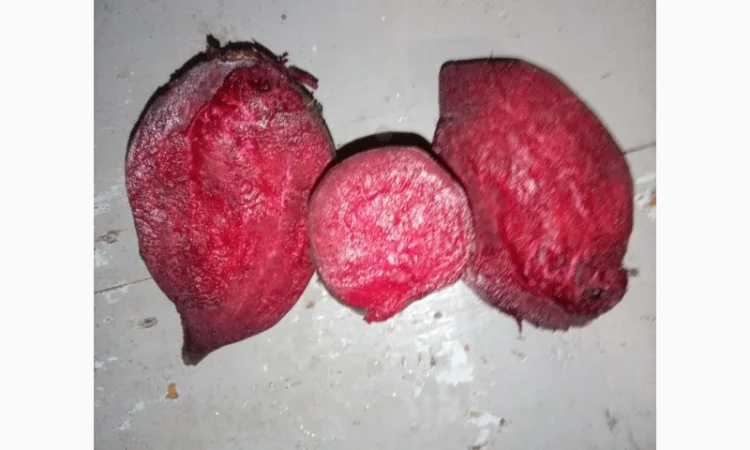 Продам буряк столовий - фото № 1