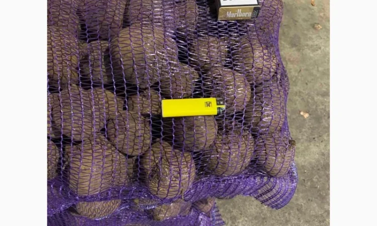 Буряк оптом! Высший сорт! Спеши - фото № 3