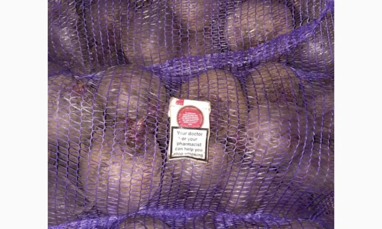 Продам свеклу - фото № 1