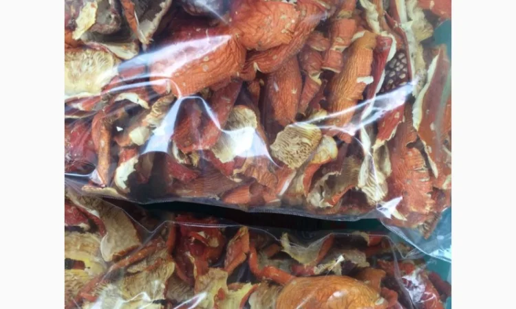 Продажа сухих шапочек мухомора красного - фото № 1