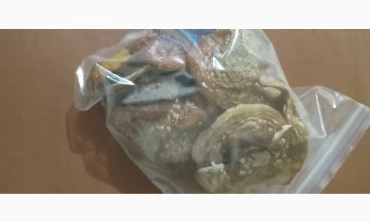 Сухі мухомори урожай 2025 - фото № 1