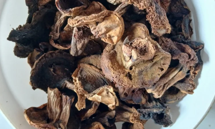 Продам сухі білі гриби жовті, сухі гриби польські - фото № 1