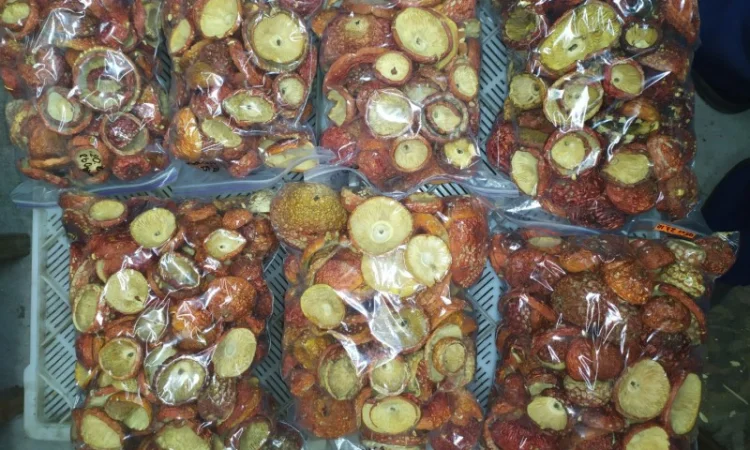 Мухомор Червоний сушений з акцією 10% на мелений - фото № 2