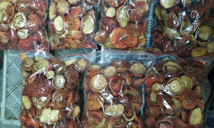 Продажа сушеного мухомора красного - фото № 2