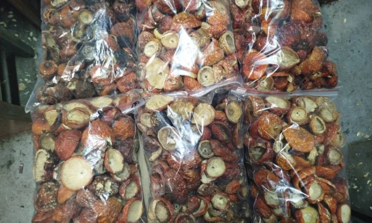 Продаж сушеного та молотого червоного мухомора - фото № 5