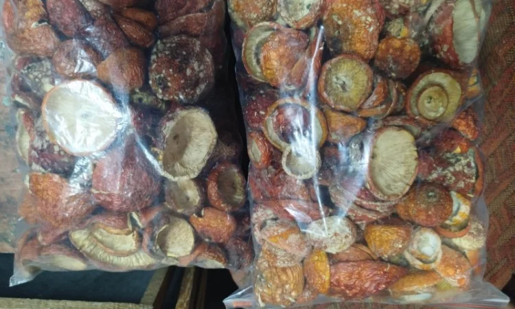 Продаж сушеного та молотого червоного мухомора - фото № 6