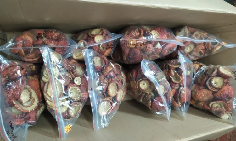 Продаж сушеного та молотого червоного мухомора - фото № 7