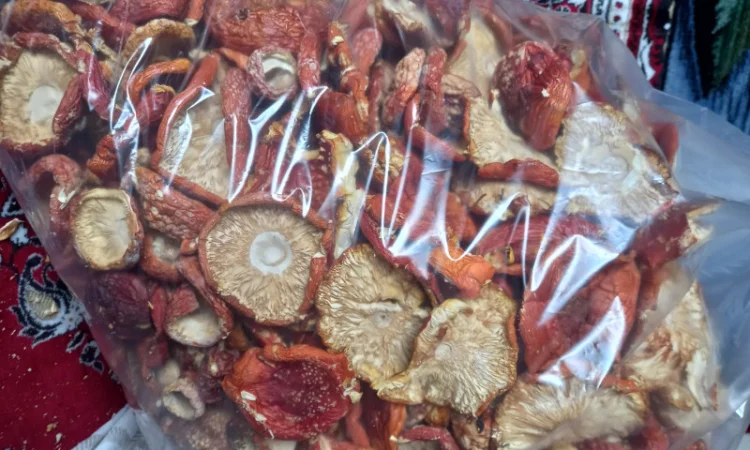 Продается шляпки мухомора урожай 2025, 1 кг первого сорта за 2000 рублей - фото № 1