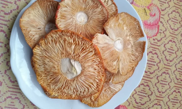 Мухомор сушений 1 сорта, шляпки раскрытые - фото № 2