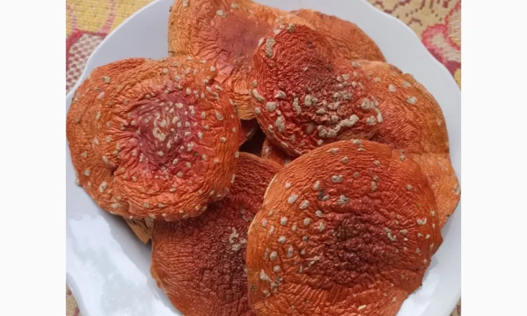 Мухомор сушений 1 сорта, шляпки раскрытые - фото № 5