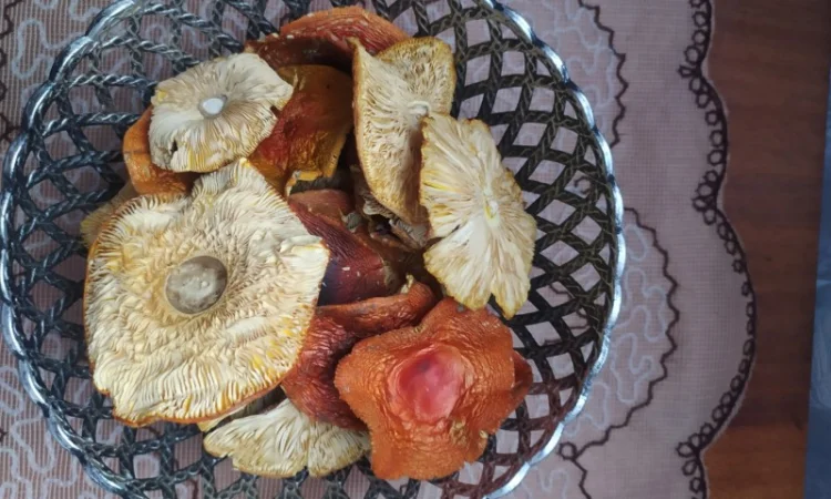 Червоний мухомор 1 сорт (шляпки) - фото № 2