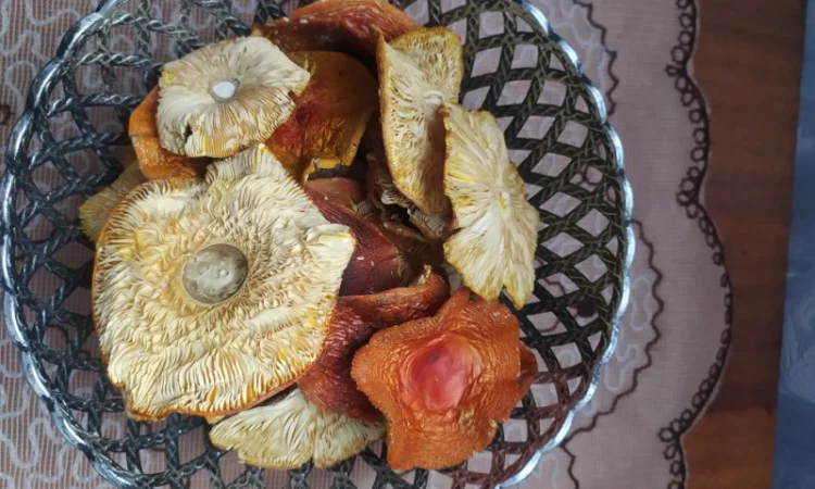 Червоний мухомор 1 сорт (шляпки) - фото № 3