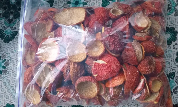 Продажа червоного мухомора 1 сорта - фото № 3